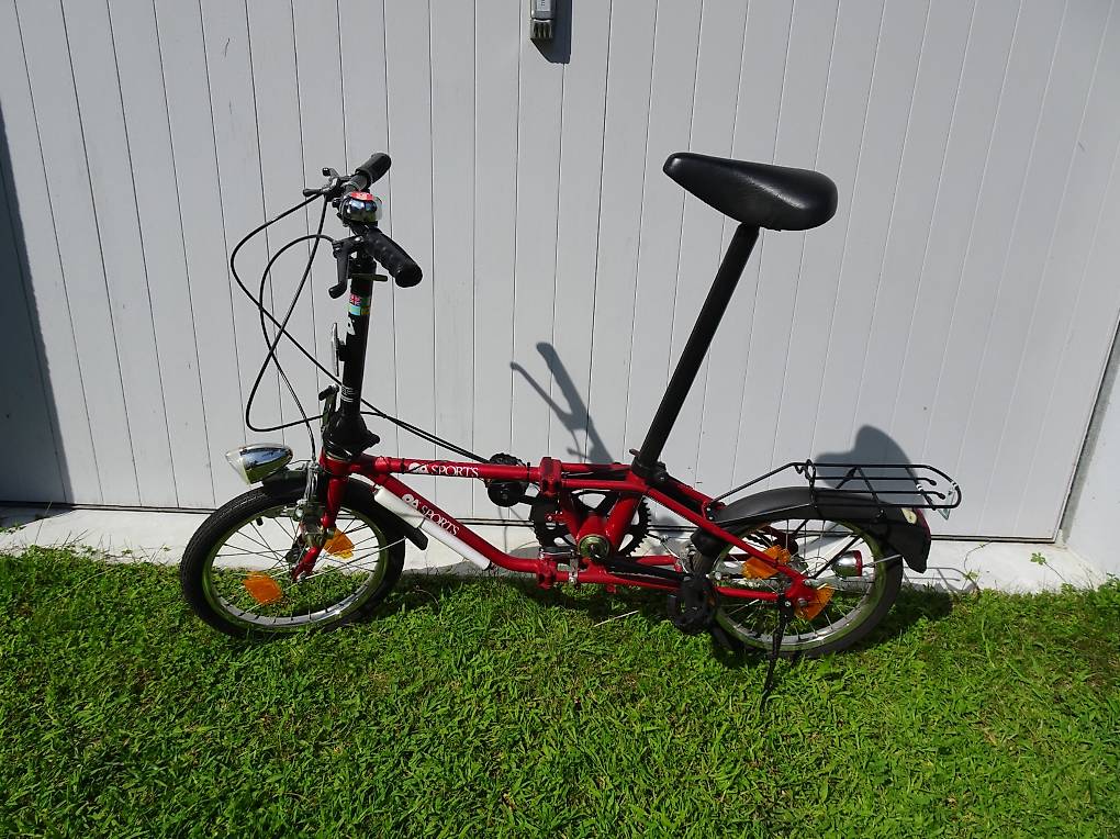 Bicicletta pieghevole per adulti - Vélo pliant pour adultes