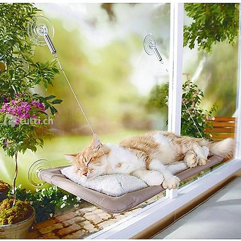  Chats fenêtre de terrasse pour les chats