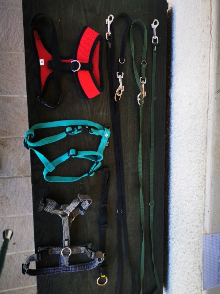 Set pour chiots jusqu"a 10 kg