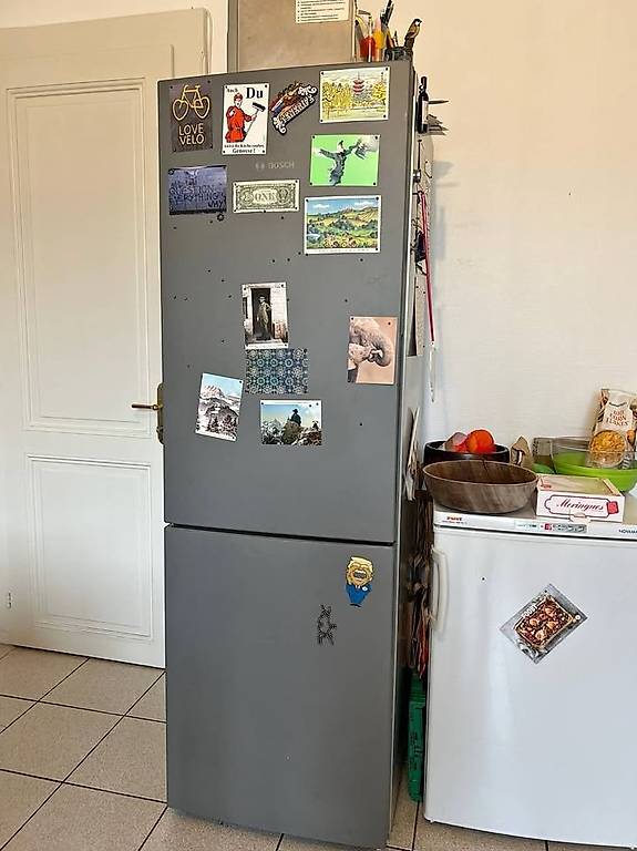 Réfrigérateur-congélateur BOSCH KGV36VE32S