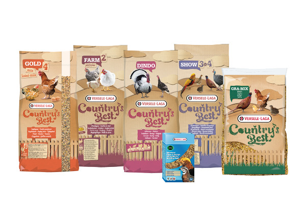Nourritue / snack / complément pour poules-volailles