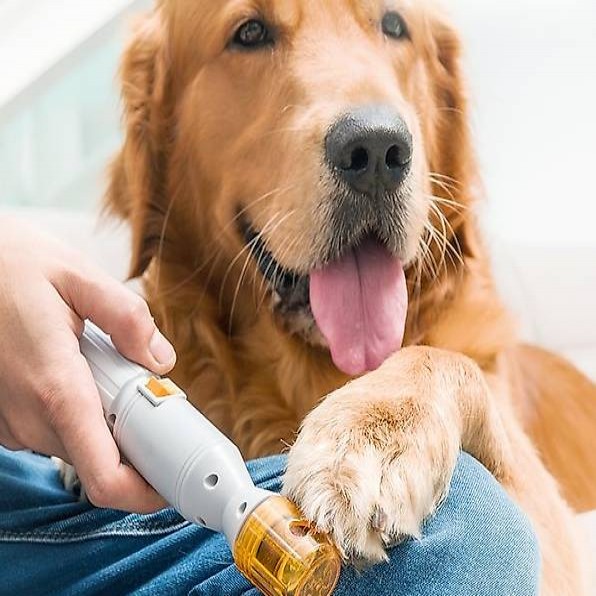  Lime à Ongles Électrique pour Animaux de Compagnie