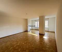 Appartement rafraichi de 3 pièces à Renens