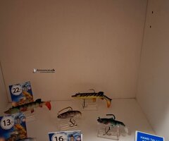 Conteur pour conter les perches est Brochet