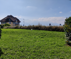 3.5 pièces de 83 m2 au rez-de-chaussée - Brent 25