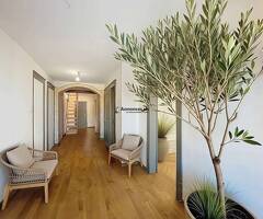 Dernier étage - Spacieux 3.5 pces 99 m2 + combles dans un immeuble ancien rénové - Image 8