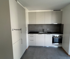 A saisir 3.5 pièces rénové - Image 2