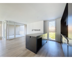 3.5 pièces avec grand balcon - Aigle 21