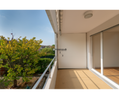 Spacieux 5.5 pièces proche du lac - Gland - Image 4