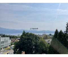 Magnifique logement à louer à Lausanne - Image 7