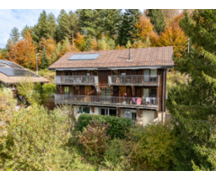 Studio proche de l'EHL dans un quartier calme