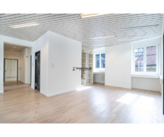 Superbe bureaux de 200m2 dans l'hyper centre, idéale pour un cabinet. - Image 4