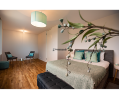 Bel appartement de 2.5 pièces au rez-de-chaussée - Image 2