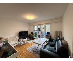 Bel appartement au centre de Chavannes, dans un écrin de verdure - Image 2