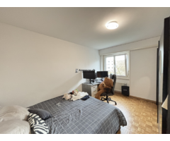 Bel appartement au centre de Chavannes, dans un écrin de verdure - Image 3