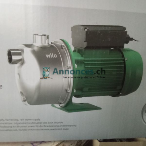 Pompe de surface Wilo Jet auto amorçante inox 230 V (neuf)