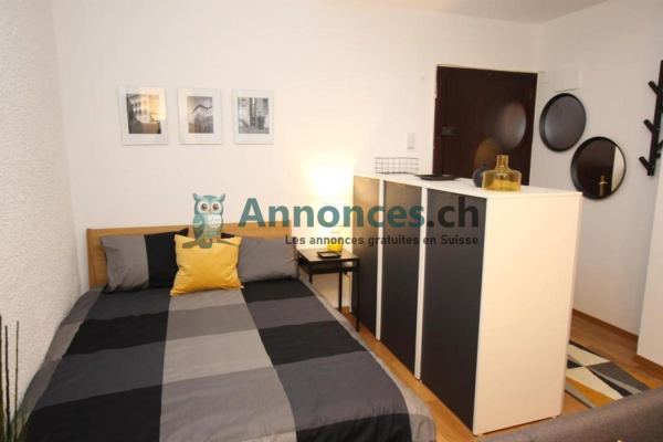 Studio Meublé 35 m2 à Geneve Quartier pittoresque