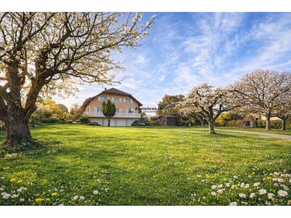 Villa familiale de 6.5 pièces avec terrasse et jardin