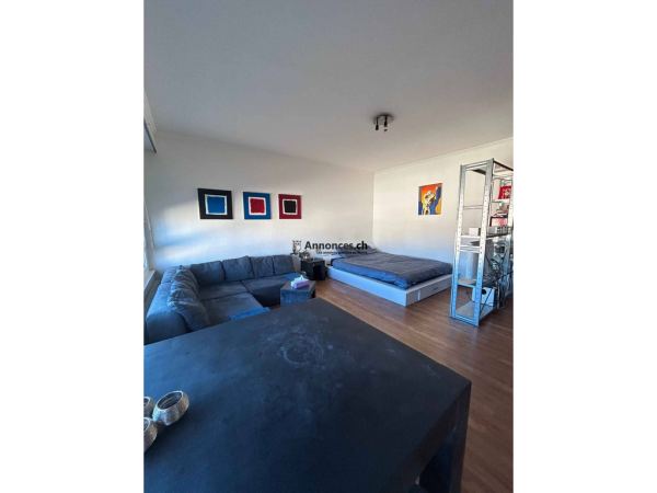 Appartement 2 pièces meublé
